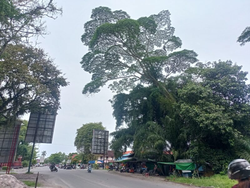 Sampit