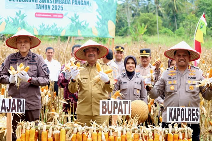 Program penanaman jagung