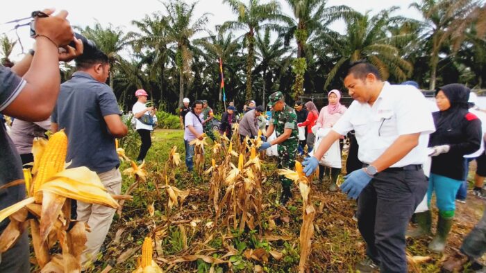 PT BAP Terawan