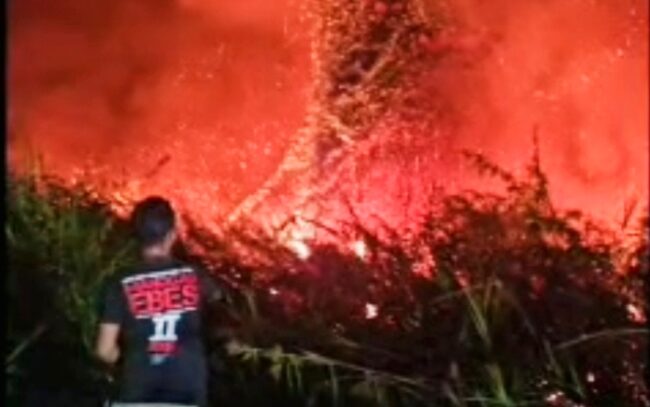 Wakil Bupati Kotim