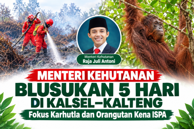 Menteri Kehutanan
